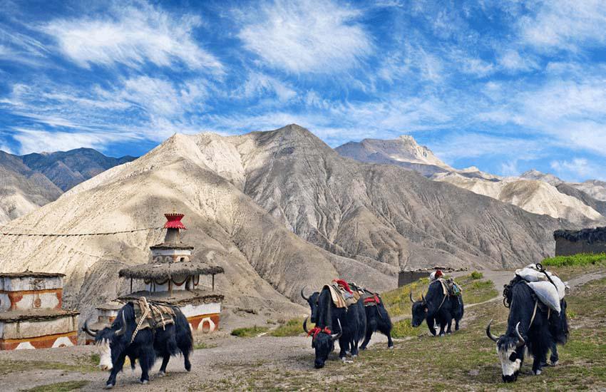 Dolpo Region Trekking